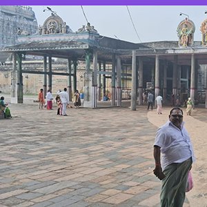 Swamy Natarajar Pooja for Remedies